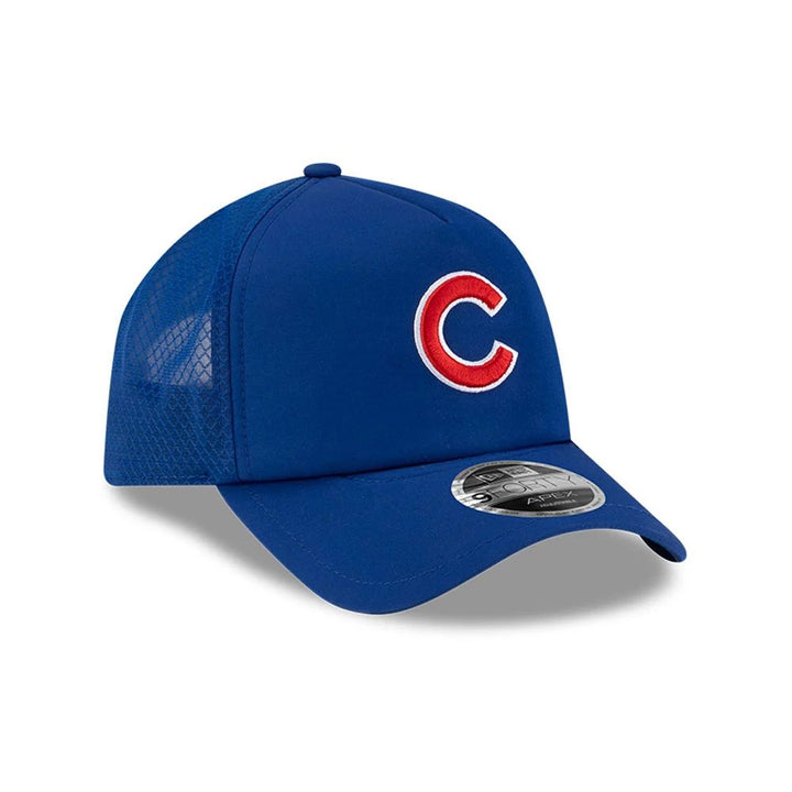 Chicago Cubs 2026 BP 9FORTY Adjustable Cap by New Era