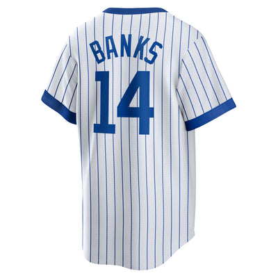 CHICAGO CUBS NIKE MEN'S BULLSEYE PINSTRIPE BANKS V-NECK