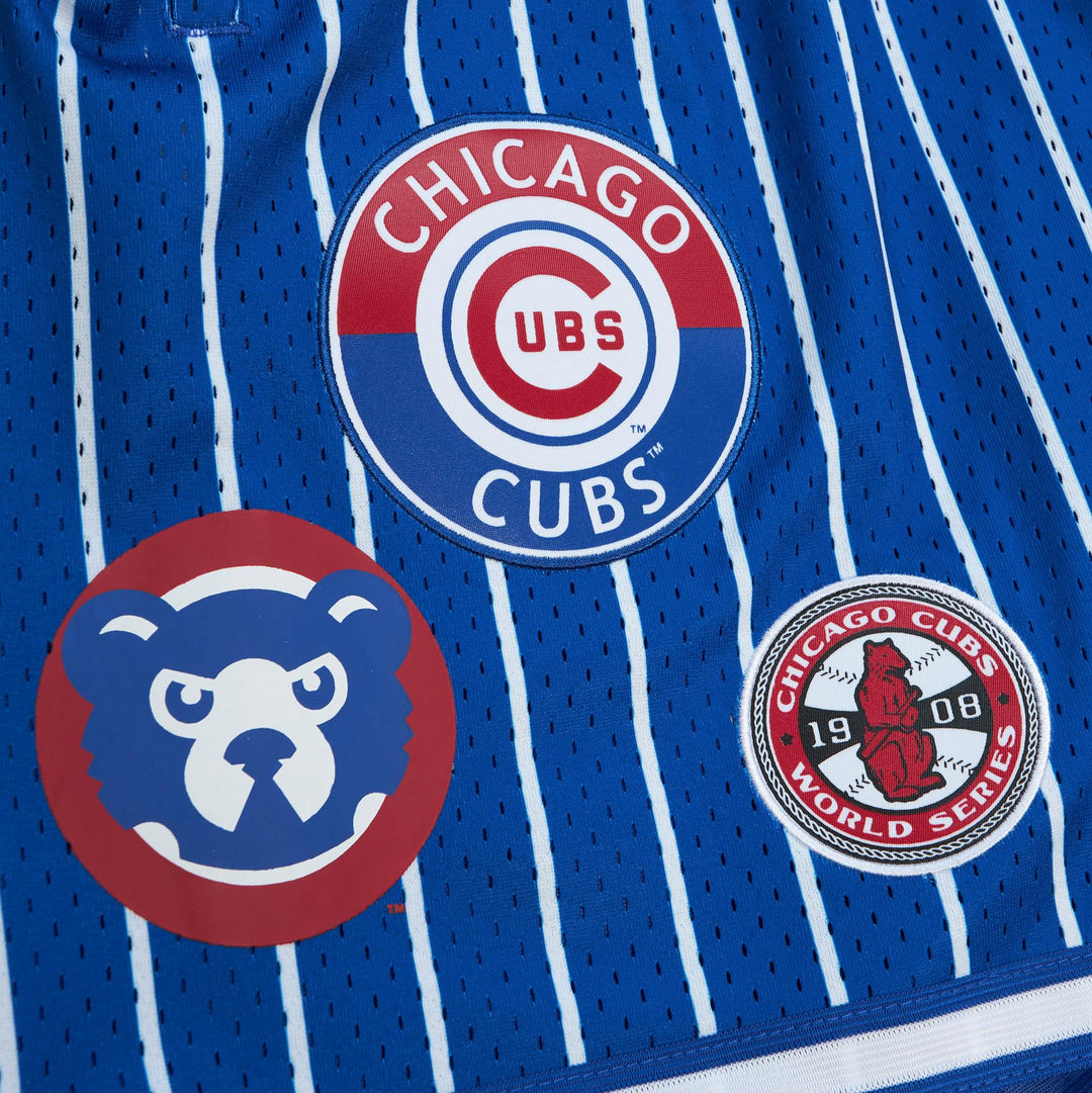 CHICAGO CUBS MITCHELL & NESS MEN'S STRIPED BLUE MESH PATCH SHORTS Bottoms MITCHELL & NESS