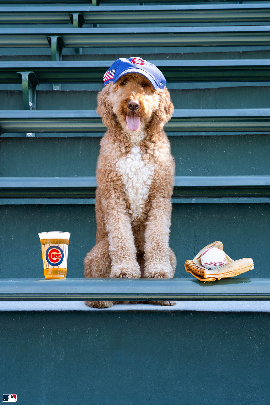 Chicago Pride, Wrigley Field™, Chicago Photography Gray Malin