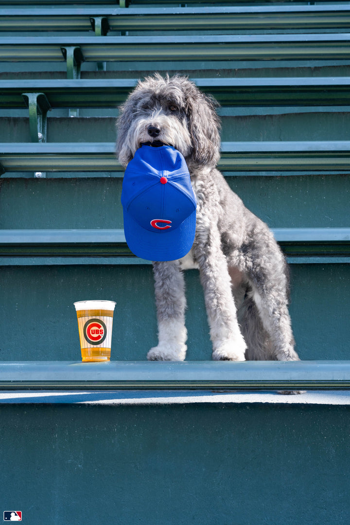 Hat Trick, Wrigley Field™, Chicago Photography Gray Malin